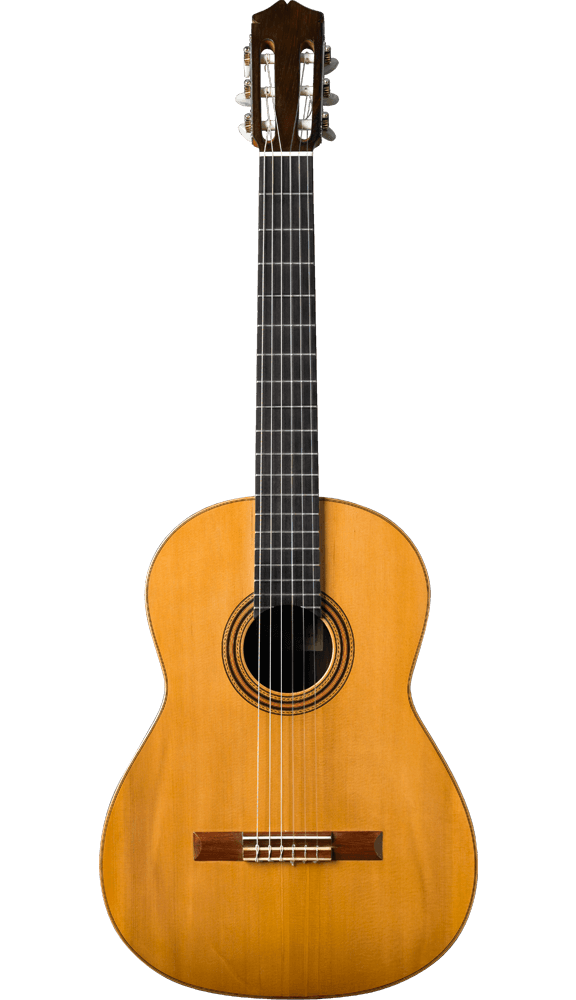 music and dance academy